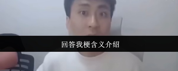 回答我梗含义介绍