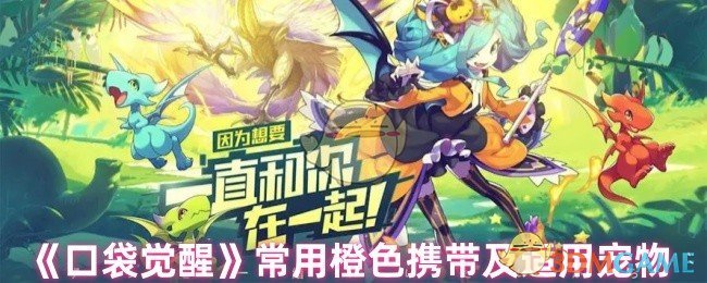 《口袋觉醒》常用橙色携带及适用宠物