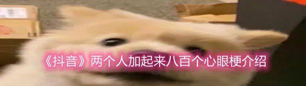 《抖音》两个人加起来八百个心眼梗介绍