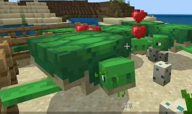 我的世界驯服海龟当坐骑教程图三