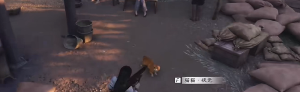 《燕云十六声》猫猫状元位置攻略
