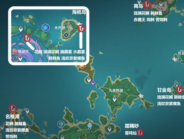 稻妻区域