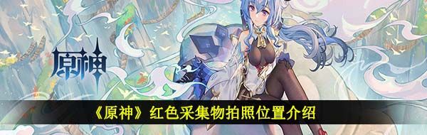 《原神》红色采集物拍照位置介绍
