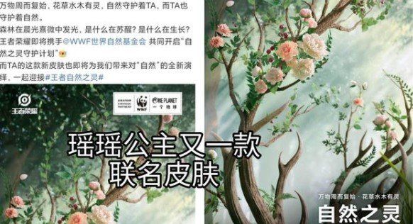 《王者荣耀》自然之灵皮肤上线时间介绍