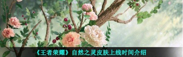 《王者荣耀》自然之灵皮肤上线时间介绍