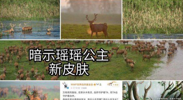 《王者荣耀》自然之灵皮肤上线时间介绍