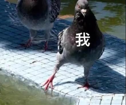 他明明那么普通却又那么自信表情包大全分享
