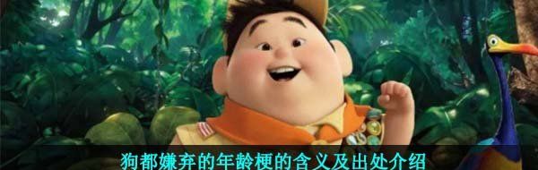 狗都嫌弃的年龄梗的含义及出处介绍