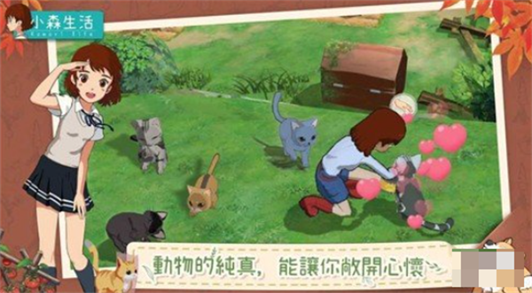 小森生活猫咪怎么领养 小森生活领养猫咪的方法