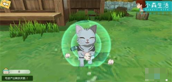 小森生活猫咪怎么领养 小森生活领养猫咪的方法