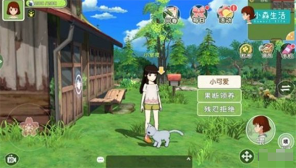 小森生活猫咪怎么领养 小森生活领养猫咪的方法