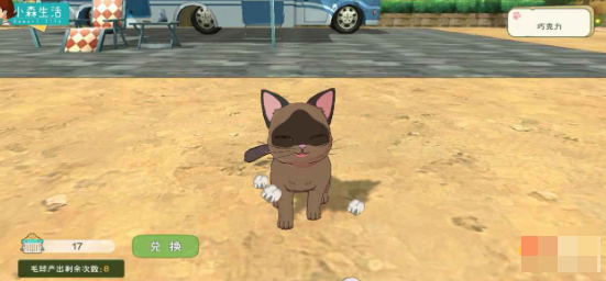 小森生活猫咪怎么领养 小森生活领养猫咪的方法