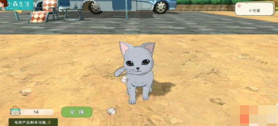 小森生活猫咪怎么领养 小森生活领养猫咪的方法