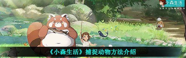 《小森生活》捕捉动物方法介绍