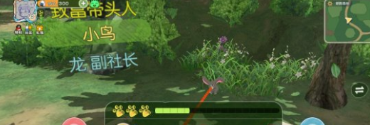 《小森生活》捕捉动物方法介绍