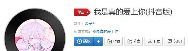 《抖音》我是真的爱上你歌曲信息介绍