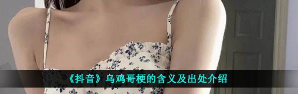 《抖音》乌鸡哥梗的含义及出处介绍