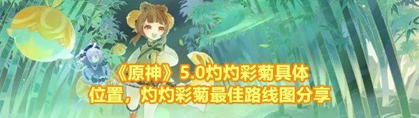 《原神》5.0灼灼彩菊具体位置，灼灼彩菊*路线图分享
