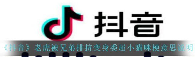 《抖音》老虎被兄弟排挤变身委屈小猫咪梗意思说明
