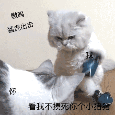 《抖音》2021年3月热门表情包大全快来收表情包啦