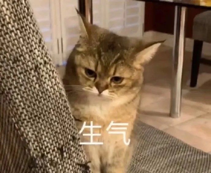 《抖音》2021年3月热门表情包大全快来收表情包啦
