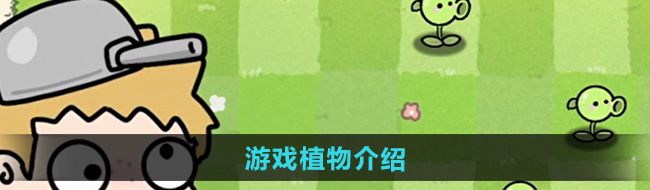 《植物大战僵尸幼儿园版》植物介绍