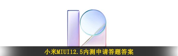 你怎么看待测试版系统会出现Bug
