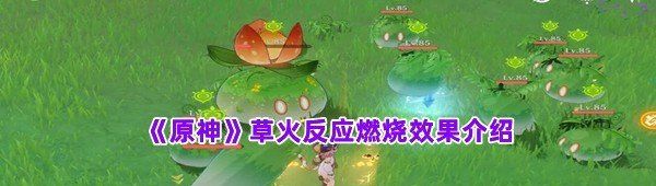 《原神》草火反应燃烧效果介绍
