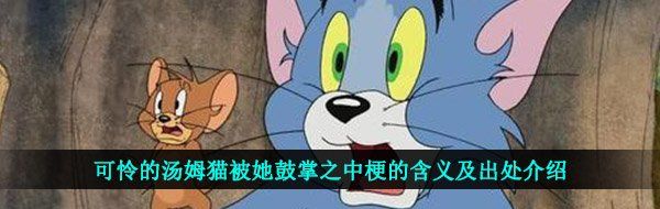 可怜的汤姆猫被她鼓掌之中梗的含义及出处介绍