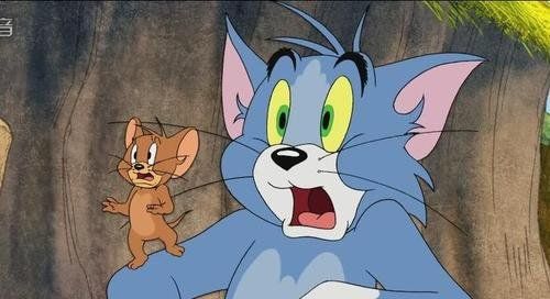 可怜的汤姆猫被她鼓掌之中梗的含义及出处介绍