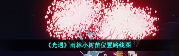 《光遇》雨林小树苗位置路线图