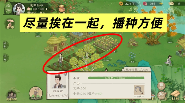 《桃源记2》新手必看十条避坑攻略